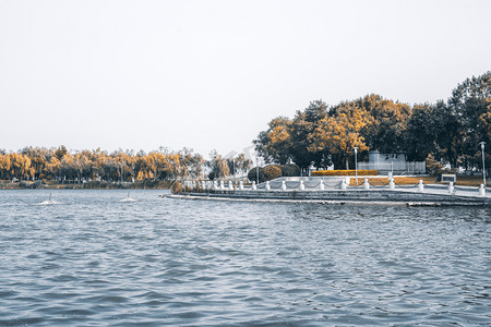 一碗清水摄影照片_东营景点打卡地清风湖湖岸摄影图配图