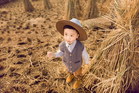 秋收的季节在稻田玩耍的小男孩摄影图配图