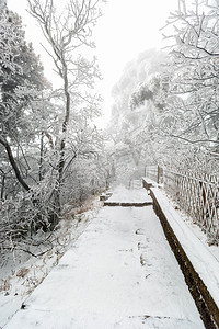 小雪风景图摄影照片_冬季游玩白天道路山区摇动摄影图配图