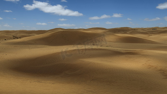 财神新年背景海报摄影照片_库布其沙漠上午沙漠夏季素材摄影图配图