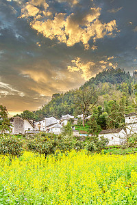 春季旅游凌晨油菜花山区摇动摄影图配图