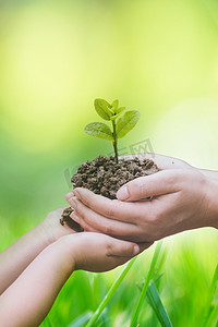 节能减排日摄影照片_公益环保低碳白天手捧树苗户外绿植摄影图配图