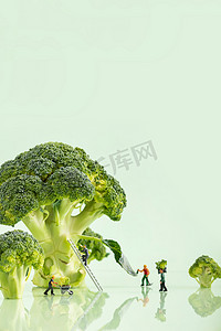 蔬菜西兰花有机营养创意绿色摄影图配图