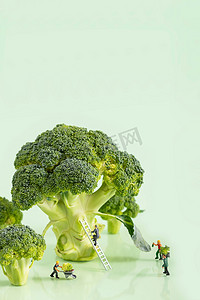 蔬菜蓝蔬菜摄影照片_蔬菜西兰花新鲜创意绿色摄影图配图