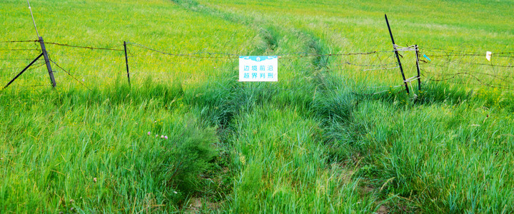 呼伦贝尔草原白天中俄边境草地牧场旅游摄影图配图