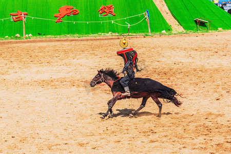 蒙古骑马摄影照片_赛马白天骑马户外动物摄影图配图