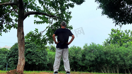 实拍老人在树下静站看向远方独孤意境