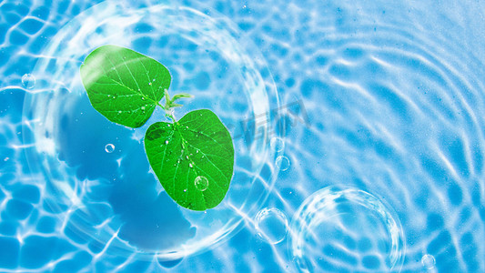 蓝色水面清新自然泡泡绿叶白天水纹植物绿叶水里漂浮摄影图配图