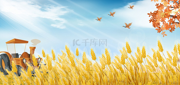 农民工权益公示牌背景图片_丰收季节秋季丰收