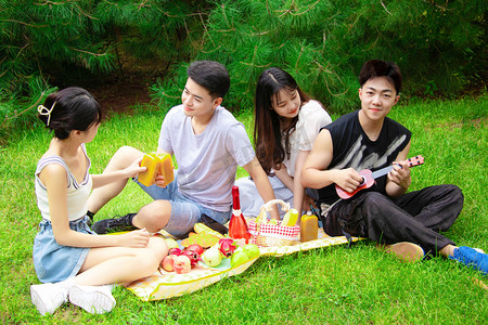 年轻人年轻人聚会摄影照片_野餐白天年轻人草坪碰杯摄影图配图