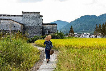 乡村村姑秋天风景下午一个人户外玩摄影图配图