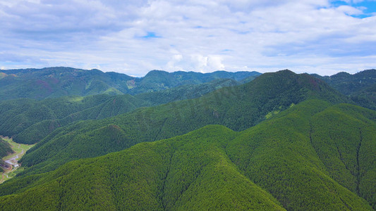 高山森林摄影照片_大山森林山脉自然风光