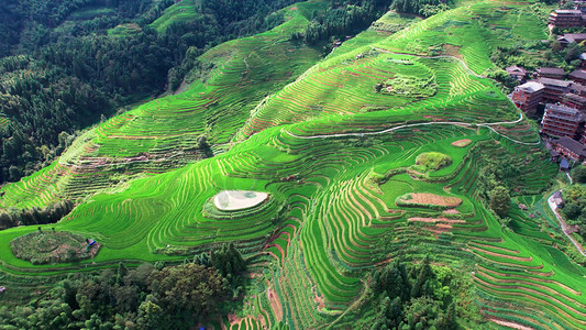 耕地农民矢量图摄影照片_广西桂林航拍龙胜梯田农业耕地风光