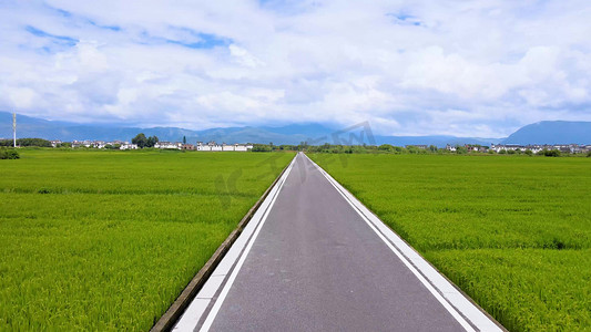 稻田乡村航拍摄影照片_大理洱海农村风景稻田