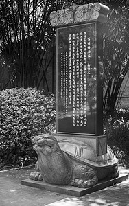 公园中午广西柳州柳侯公园石龟景区游玩摄影图配图