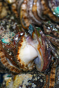 海鲜鱼肉摄影照片_美食海洋水产鲍鱼新鲜鲍鱼鲍鱼肉摄影图配图