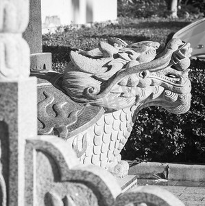公园中午寺庙外的龙形雕塑景区在拍摄摄影图配图