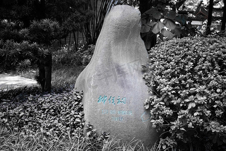 公园中午广西柳州柳侯公园石文雕刻景区旅游摄影图配图
