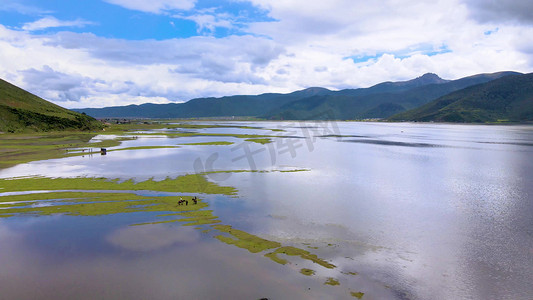 香格里拉风景摄影照片_香格里拉高原湖畔自然生态