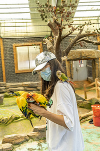 神雕山动物园白天人与鹦鹉景区旅游摄影图配图