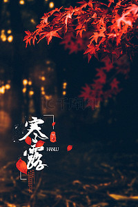 寒露枫叶橙红摄影深秋