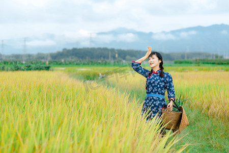 秋天稻田丰收人物图片上午一个人户外擦汗摄影图配图