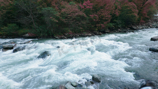 川西秘境河流川流不息