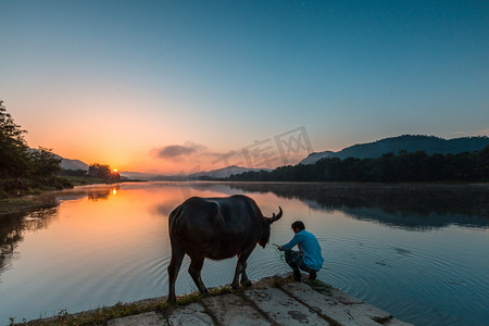 日出江面牛跟人物的照片上午一个人户外无摄影图配图