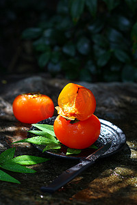 二十四节气摄影照片_秋柿早晨柿子黄色柿子创意摄影图配图