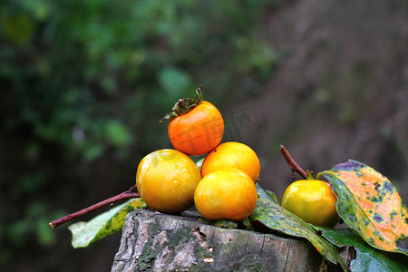 蔬果秋收柿子水果多个物体摄影图配图