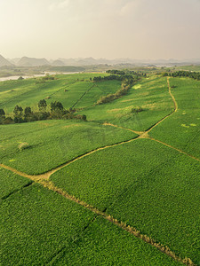 茶山下午茶茶山摄影摄影图配图