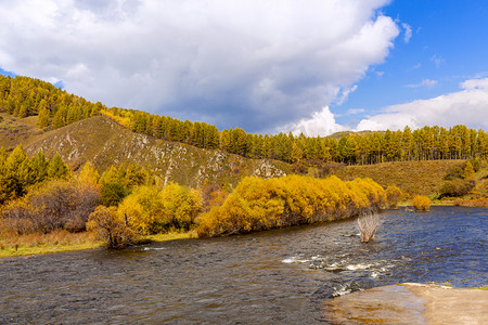 内蒙古河流秋天秋森林摄影图配图