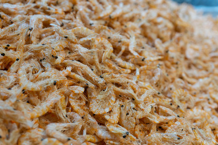 虾皮小虾调料调味品食材摄影图配图