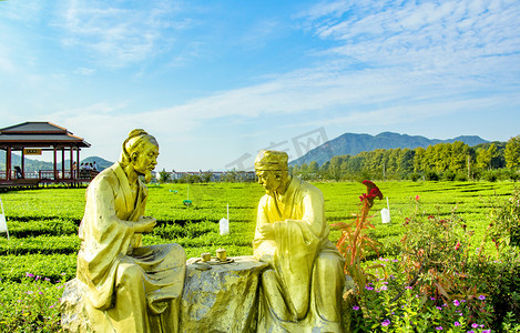 绿茶早晨茶叶茶园生态摄影图配图