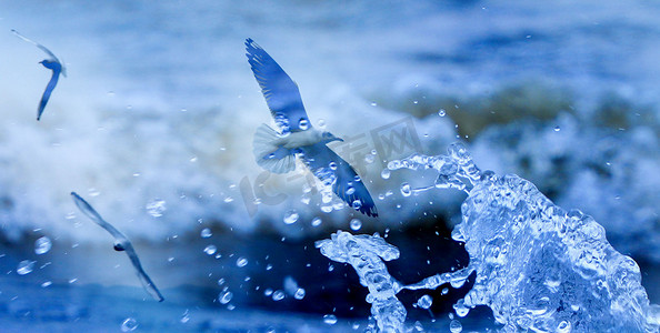 矢量海浪卡通摄影照片_企业文化海浪海鸥飞翔背景白天海鸥海浪飞翔摄影图配图