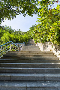 仙姑顶白天林间小路景区旅游摄影图配图