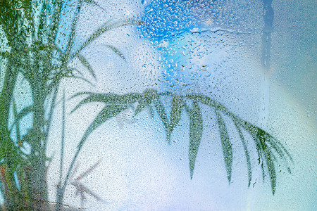 植物白天水汽玻璃室内绿叶摄影图配图