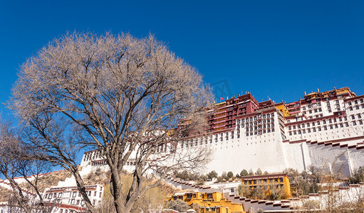 西藏旅行摄影照片_布达拉宫背面中午建筑布达拉宫摄影摄影图配图