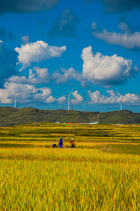 秋收农民中午稻田高坡风景摄影图配图