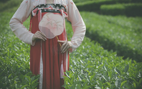 茶园古风女子下午女子茶园无摄影图配图