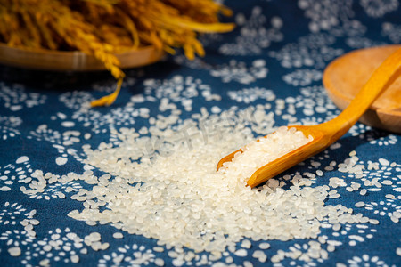 大米白天秋季粮食室内水稻摄影图配图
