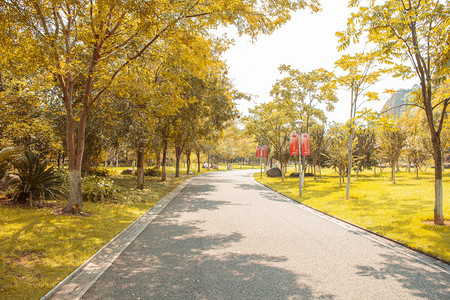 公园马路下午公路公园无摄影图配图