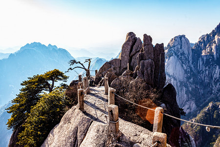 自然风光天亮树木山区摇动摄影图配图