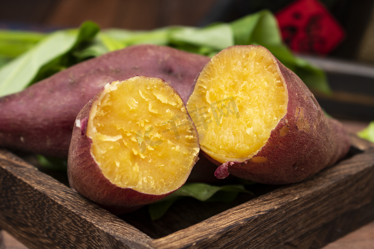 西瓜红红薯品种介绍及资料（红薯新品种西瓜红蜜薯产量）-植物说