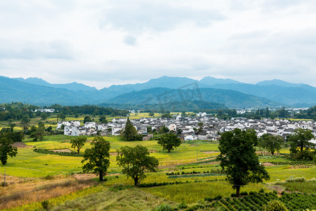 芦村田园风景上午无人户外无摄影图配图