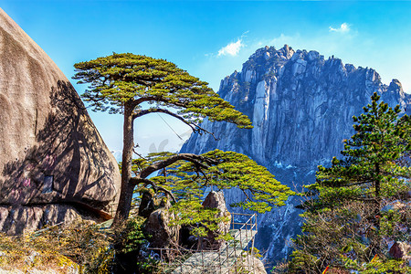 桌面壁纸太空摄影照片_冬天白天树木山区摇动摄影图配图