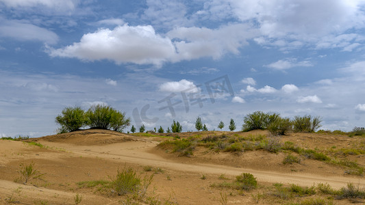 草原绿化上午沙漠植被秋季素材摄影图配图