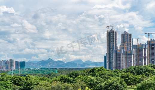 树木城市摄影照片_深圳城市建筑房地产楼盘风景摄影图配图