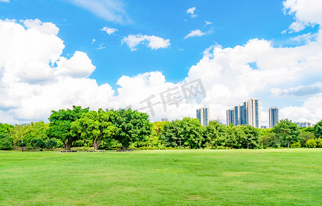 植物摄影照片_绿化城市广阔草地蓝天白云摄影图配图