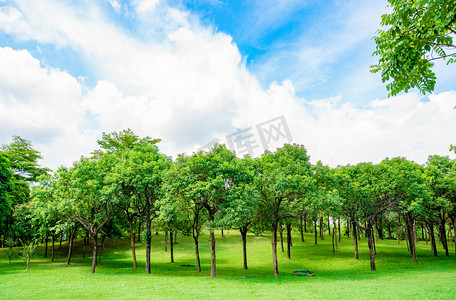草地城市摄影照片_草地树木植物蓝天风景摄影图配图